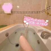 なつき（プレミア×芸能人クラス あし🐾 ハニービー（Honey Bee）