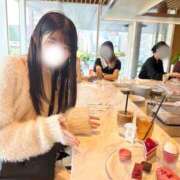 チサ =?ISO-2022-JP?B?GyRCOiNGfCRHJWklOSVIGyhJJSUlGyhC?= 姫路ラビット