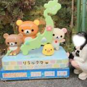 ヒメ日記 2026/05/31 23:12 投稿 美海/みう　centu STYLISH BACH