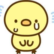 ヒメ日記 2026/10/03 10:22 投稿 きさら いざ候 別館