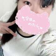 ヒメ日記 2026/06/25 11:09 投稿 ゆりな つまみぐいイケちゃいますよ！