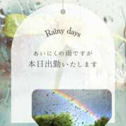 ヒメ日記 2026/06/27 12:25 投稿 柏木さと子 ミセス・レヴォアール～再会～