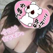ヒメ日記 2026/05/27 11:49 投稿 みおな ふわもこ人妻ランド　那須塩原店