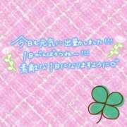 いすず 出勤しました🎀 One More 奥様　西川口店