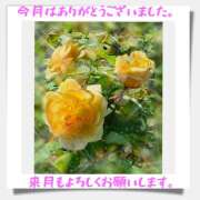 ヒメ日記 2026/05/31 21:56 投稿 浜崎聖子 五十路マダムエクスプレス横浜店（カサブランカグループ）
