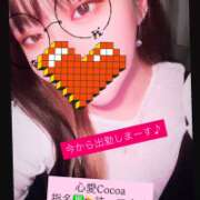 ヒメ日記 2026/06/23 16:35 投稿 心愛-ここあ【FG系列】 ほんつま 町田/相模原店