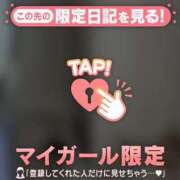 ヒメ日記 2026/05/05 15:01 投稿 ミミ エピソード(品川)