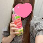 ヒメ日記 2026/06/09 12:01 投稿 ミミ エピソード(品川)