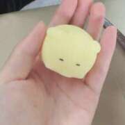 ヒメ日記 2026/06/28 23:16 投稿 ミミ エピソード(品川)