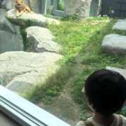ヒメ日記 2026/07/13 14:42 投稿 みこ 花火-hanabi-(すすきの)