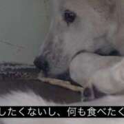 ヒメ日記 2026/06/15 22:57 投稿 るる スパーク日本橋