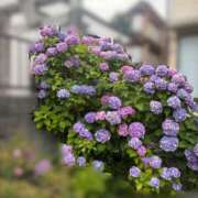 ヒメ日記 2026/07/19 08:18 投稿 ちか 贅沢なひと時