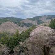 ヒメ日記 2026/08/11 08:42 投稿 芽咲(めいさ) PLUS東大阪店（高井田・長田）