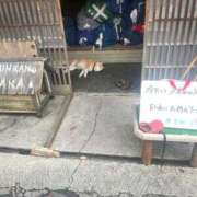 ヒメ日記 2026/09/06 09:42 投稿 芽咲(めいさ) PLUS東大阪店（高井田・長田）