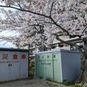 ヒメ日記 2026/05/14 16:25 投稿 西島（にしじま） 熟女の風俗最終章 大宮店