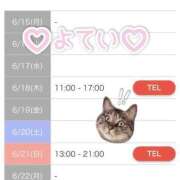 ヒメ日記 2026/06/18 16:36 投稿 なつき ぷるりんクエスト上野浅草鶯谷秋葉原デリヘル王国