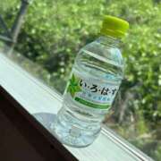 ヒメ日記 2026/06/01 12:08 投稿 せいか One More 奥様　池袋店