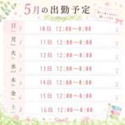 ヒメ日記 2026/05/09 14:52 投稿 あんり 渋谷ちゃんこ