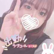 ヒメ日記 2026/05/11 12:42 投稿 あんり 渋谷ちゃんこ