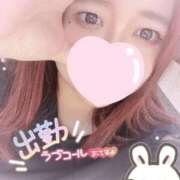 ヒメ日記 2026/05/12 12:22 投稿 あんり 渋谷ちゃんこ
