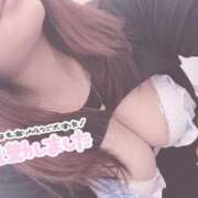ヒメ日記 2026/05/14 00:32 投稿 あんり 渋谷ちゃんこ