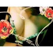 ヒメ日記 2025/06/10 23:03 投稿 椿 神戸FOXY