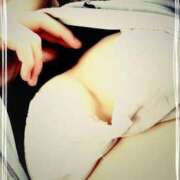 ヒメ日記 2025/11/08 17:04 投稿 椿 神戸FOXY