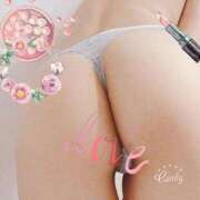 椿 つばき＾＾ 神戸FOXY