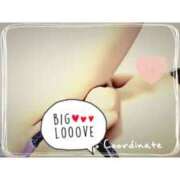 ヒメ日記 2025/12/31 17:03 投稿 椿 神戸FOXY