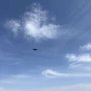 ヒメ日記 2026/05/27 12:36 投稿 こころ 秋葉原ハンドメイド