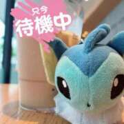 ヒメ日記 2026/05/31 12:36 投稿 のあか サンキュー厚木店