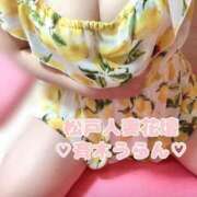 ヒメ日記 2026/05/05 08:06 投稿 斉木うらん 松戸人妻花壇