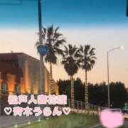 ヒメ日記 2026/05/05 16:06 投稿 斉木うらん 松戸人妻花壇