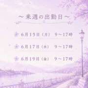 ヒメ日記 2026/06/13 19:15 投稿 成瀬　みやび プルプル京都性感エステ　はんなり