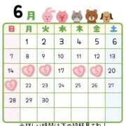 ヒメ日記 2026/06/12 20:46 投稿 すい 大阪ぽっちゃりマニア 十三店