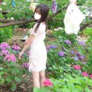 ヒメ日記 2026/06/09 07:05 投稿 すもも サマンサ(和歌山)