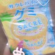 ヒメ日記 2026/07/19 06:47 投稿 さくら トマトなび