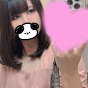 ヒメ日記 2026/05/06 12:17 投稿 ぷりん【清楚系黒髪のえちえち】 STELLA TOKYO－ステラトウキョウ－