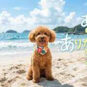ヒメ日記 2026/08/14 20:00 投稿 藤崎 あなたに逢いたくて