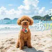ヒメ日記 2026/08/17 14:25 投稿 藤崎 あなたに逢いたくて