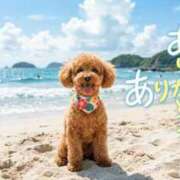 ヒメ日記 2026/08/28 19:52 投稿 藤崎 あなたに逢いたくて