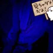 ヒメ日記 2026/06/27 21:02 投稿 ここ Luminous