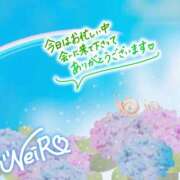 ヒメ日記 2026/06/28 11:50 投稿 ねいろ 僕らのぽっちゃリーノin野田