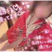 ヒメ日記 2026/07/09 11:50 投稿 ねいろ 僕らのぽっちゃリーノin野田