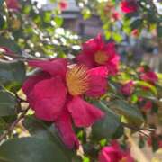 ヒメ日記 2026/05/14 18:34 投稿 のあ I❤HIMEJI（アイラブ姫路）