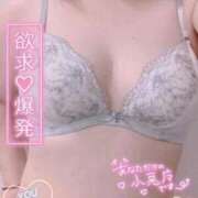 ヒメ日記 2026/05/06 15:22 投稿 つき One More 奥様 千葉店
