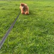 ヒメ日記 2026/05/14 07:15 投稿 宮月あやの(みやつきあやの) Montrachet(モンラッシェ)