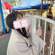 ヒメ日記 2026/06/05 10:13 投稿 楓音(かのん) ハピネス札幌