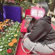 ヒメ日記 2026/06/11 08:53 投稿 楓音(かのん) ハピネス札幌