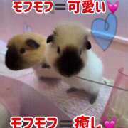 ヒメ日記 2026/07/12 00:16 投稿 楓音(かのん) ハピネス札幌
